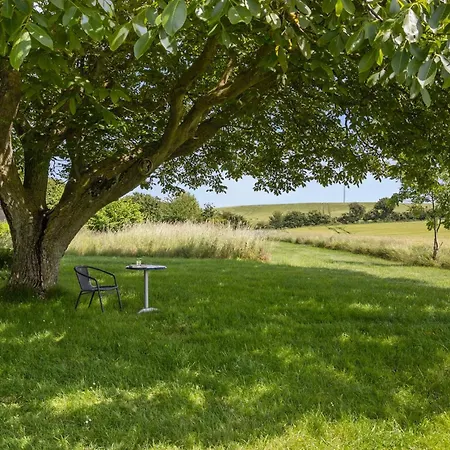 Stunning In With Wifi